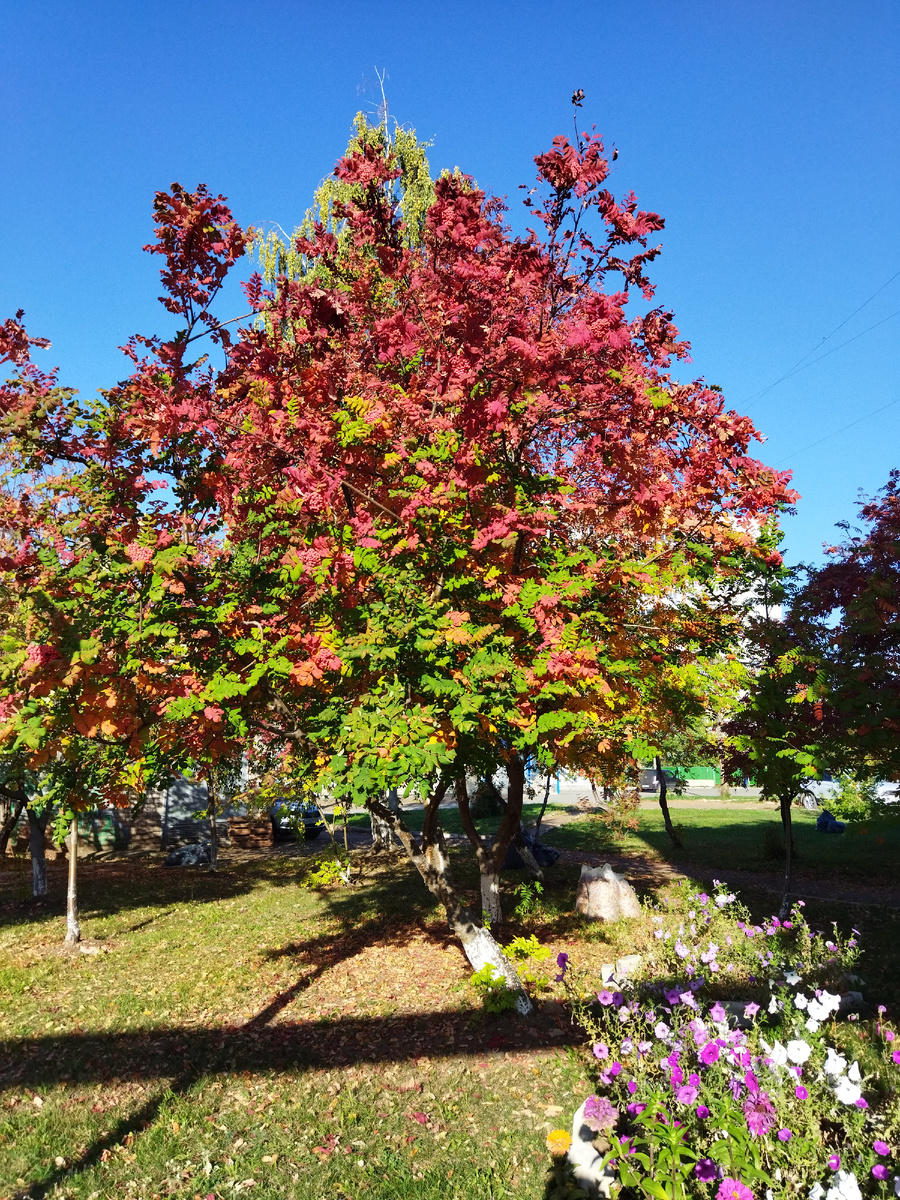 Фото из личного архива автора