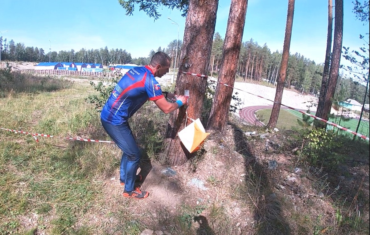 Отметка электронным чипом на контрольном пункте, фото автора