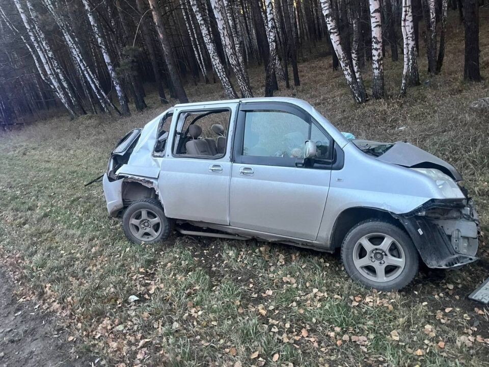    ДТП в Новосибирской области. Источник: Госавтоинспекция Новосибирской области