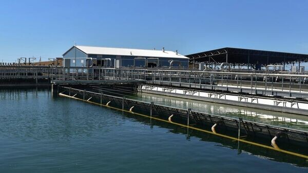    © Соцсети главы РК Сергея Аксенова