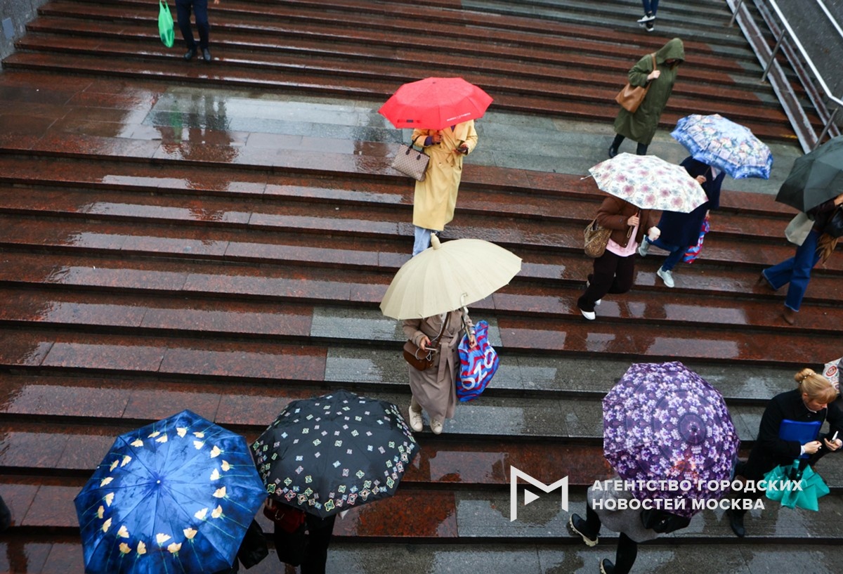 Фотограф: Ярослав Чингаев