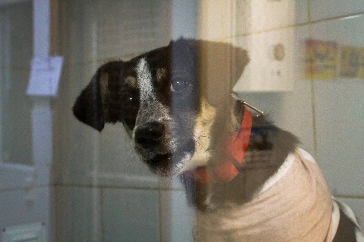 АРЕНДА УЧАСТКА и здания уже подошла! На сбор всего двое суток!