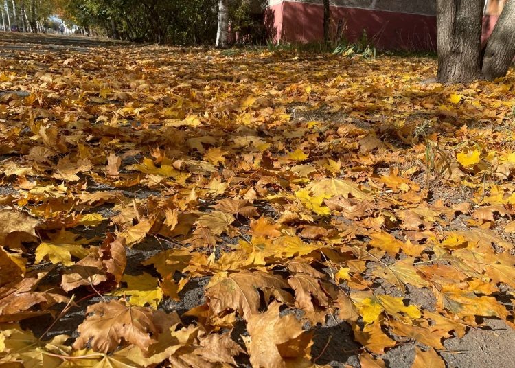 Константин ТЕРЕХОВ