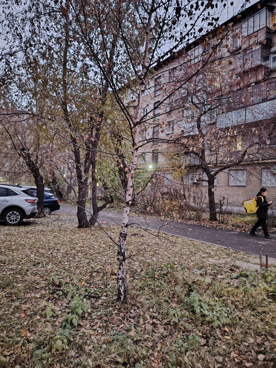 унылый бесцветный двор