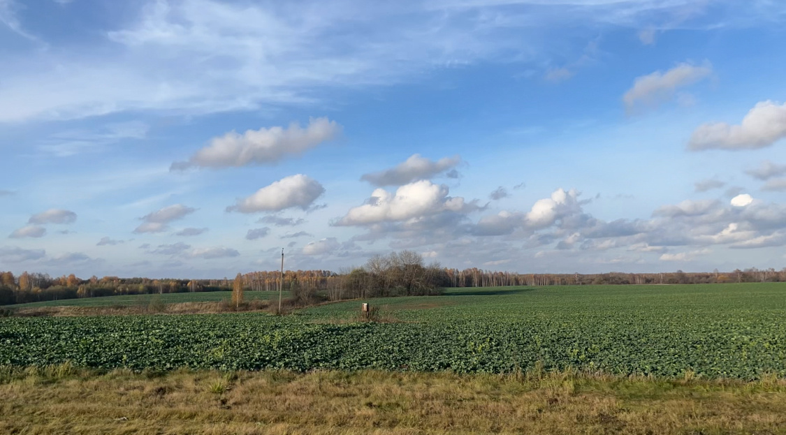 поля Беларуси