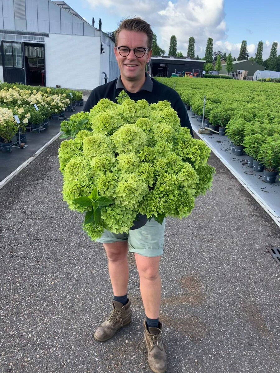 фото из интернета