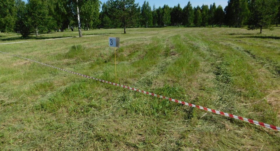    Поселок для медиков появится в Богородском округе / Медиасток.рф