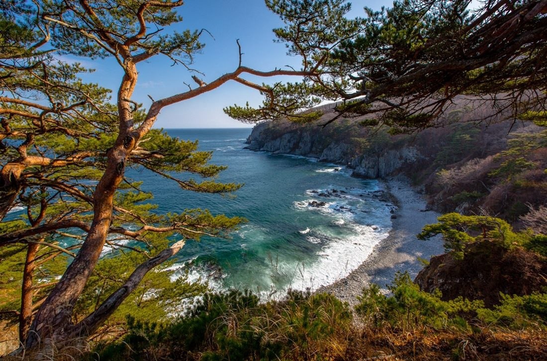 Картинка найдена на просторах интернета, ссылка  https://yandex.ru/images/search?from=tabbar&img_url=https%3A%2F%2Fi.pinimg.com%2F736x%2F5c%2F90%2F9c%2F5c909c2fdb3cf5e5f9b60fdeb2fe2210b.jpg&lr=47&pos=14&rpt=simage&text=%D0%BF%D1%80%D0%B8%D1%80%D0%BE%D0%B4%D0%B0%20%D1%84%D0%BE%D1%82%D0%BE%20%D1%81%D0%B0%D0%BC%D1%8B%D0%B5%20%D0%BA%D1%80%D0%B0%D1%81%D0%B8%D0%B2%D1%8B%D0%B5