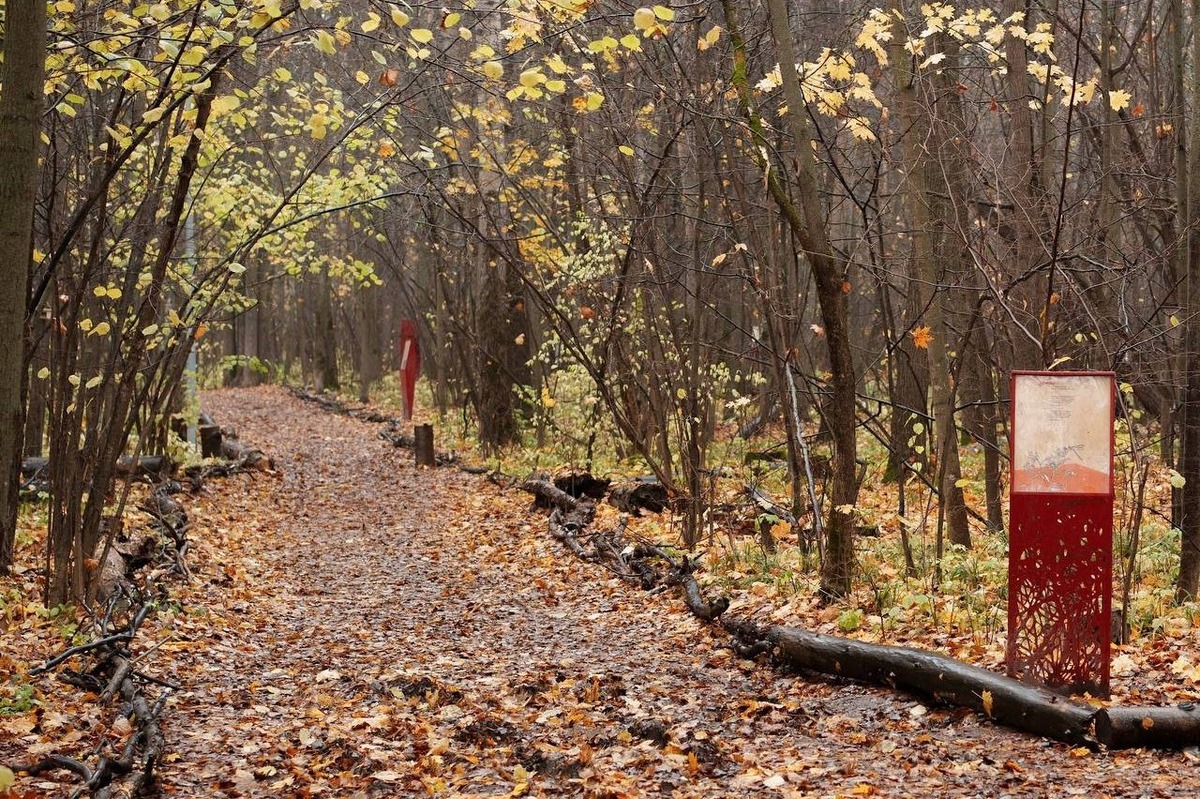 Источник: дирекция парков и скверов Казани