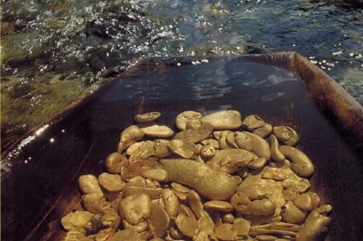    Горнодобыча в Хабаровском крае принесла бюджету более 26 млрд рублей