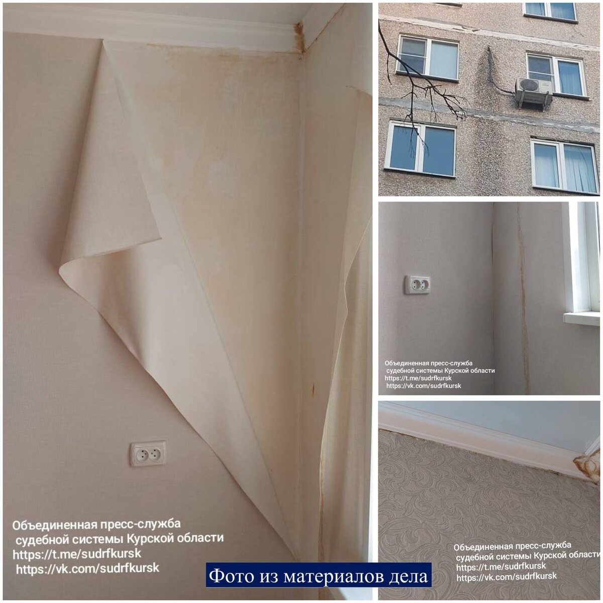 Фото: ОПСС Курской области