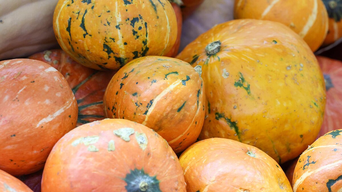 Фото: Belkin Alexey/globallookpress.com