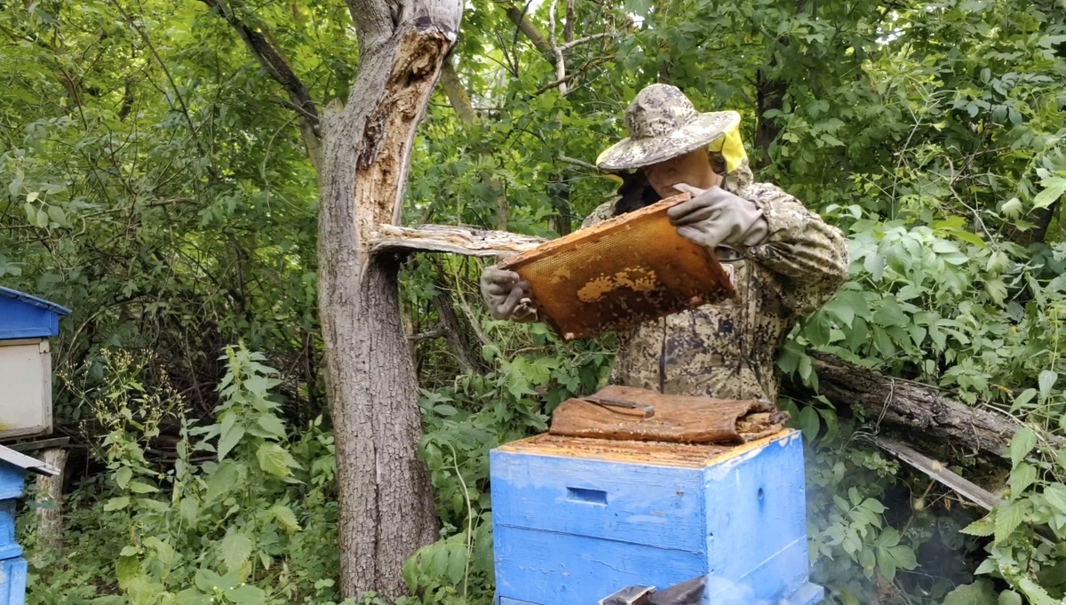 Архивное фото