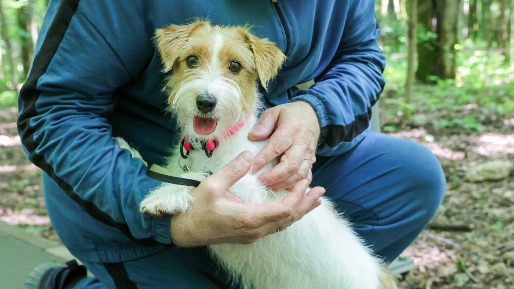    Shatokhina Natalia/Globallookpress