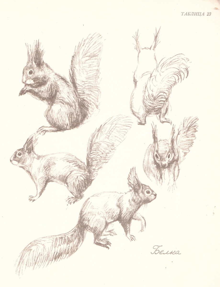 Автор всех работ - Ян Соколовский