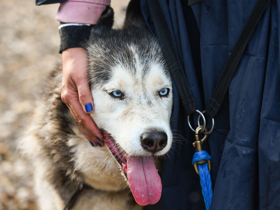    Фото: медиасток.рф