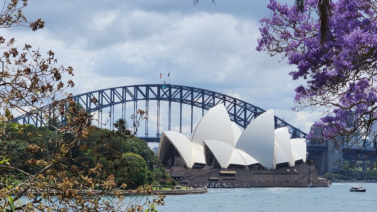 Сидней весной, фото Андрея Сорокина - русский гид в Сиднее www.russianworld.com.au 