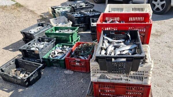    © Прокуратура Севастополя