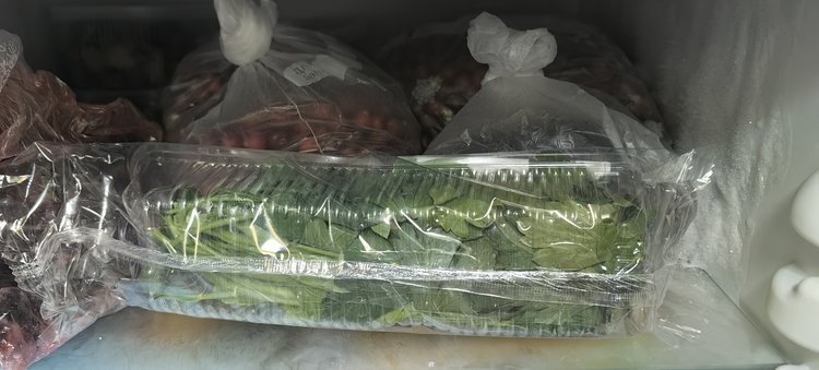    Фото: Лукьянов Дмитрий, AgroXXI.ru