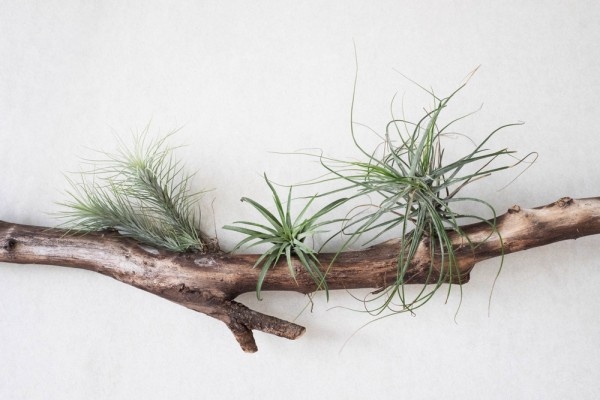 Источник фото shutterstock.com