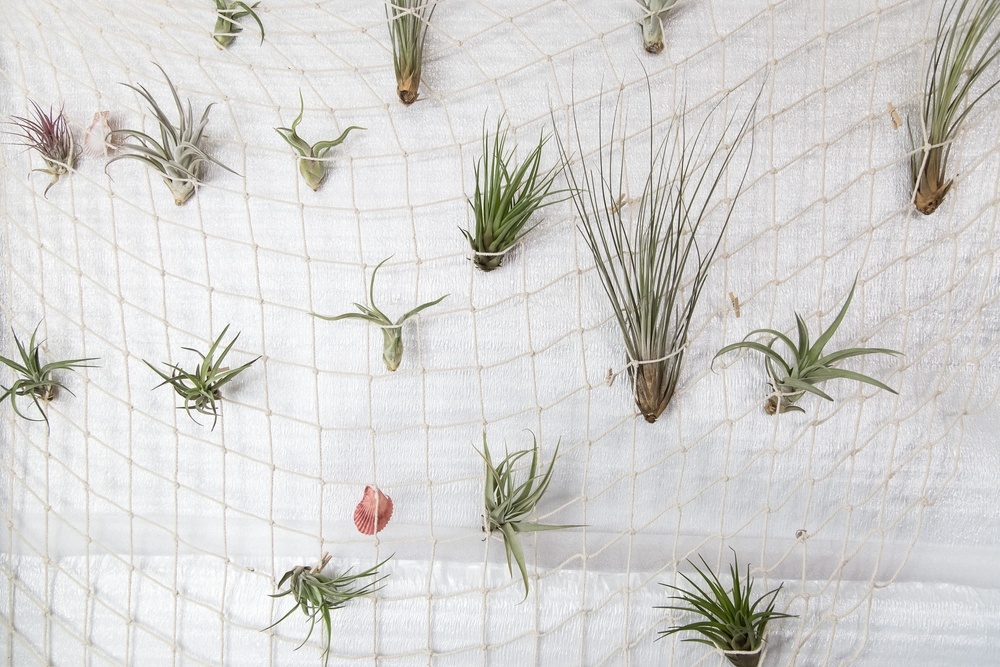 Источник фото shutterstock.com