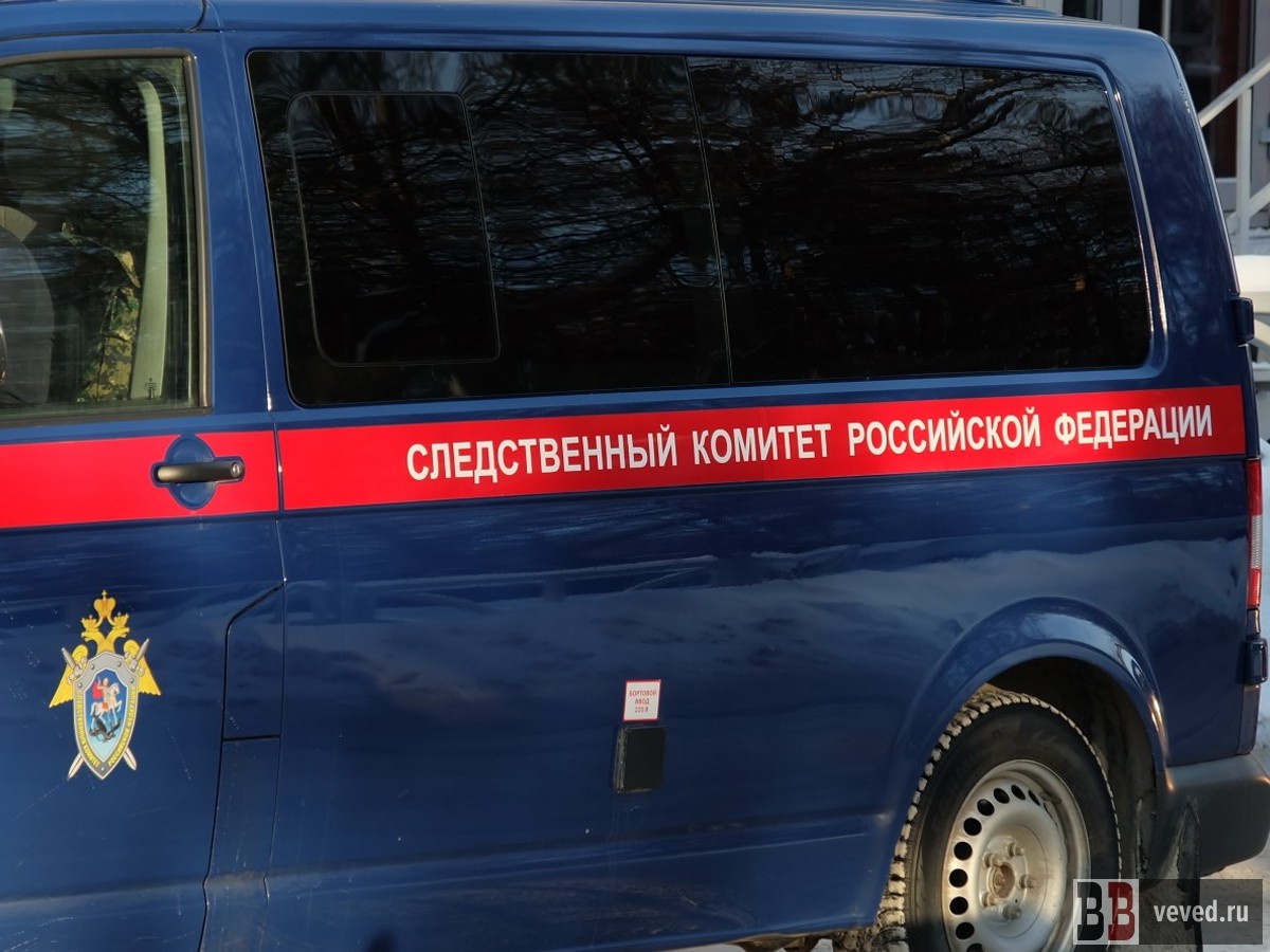     Фото: Владислав Постников / Вечерние ведомости