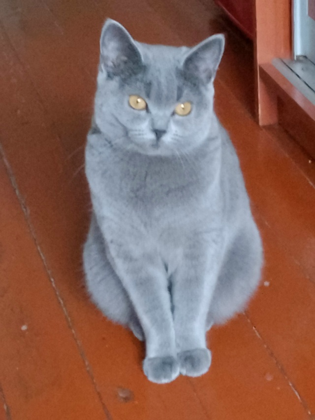 Фото Татьяны Разумовой