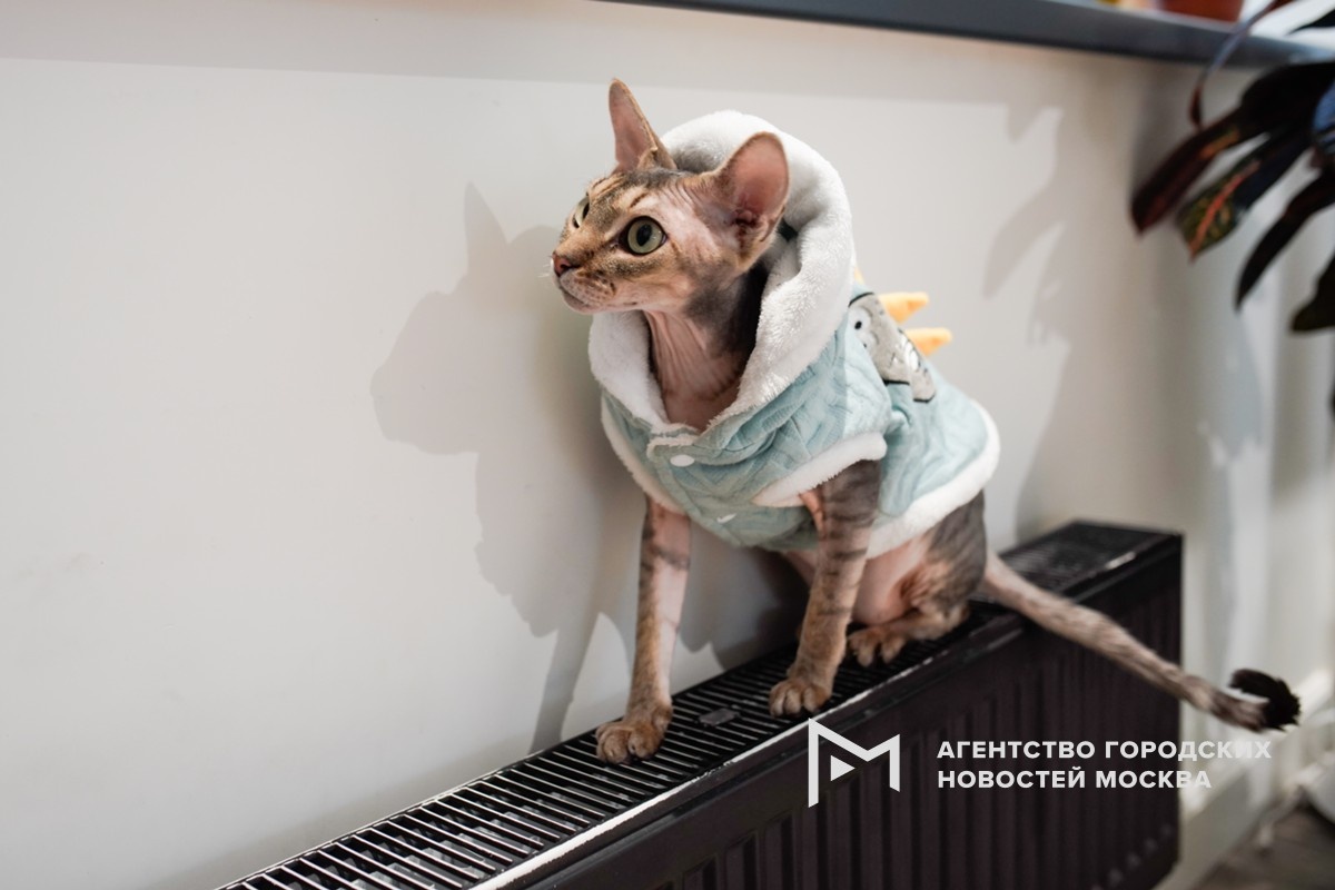 Фотограф: Александр Авилов