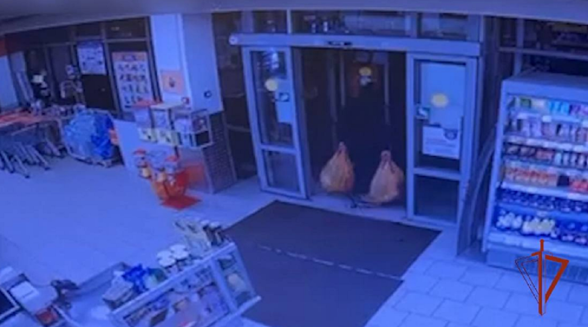    Фото: скриншот с видео / пресс-служба Росгвардии по Московской области / Telegram