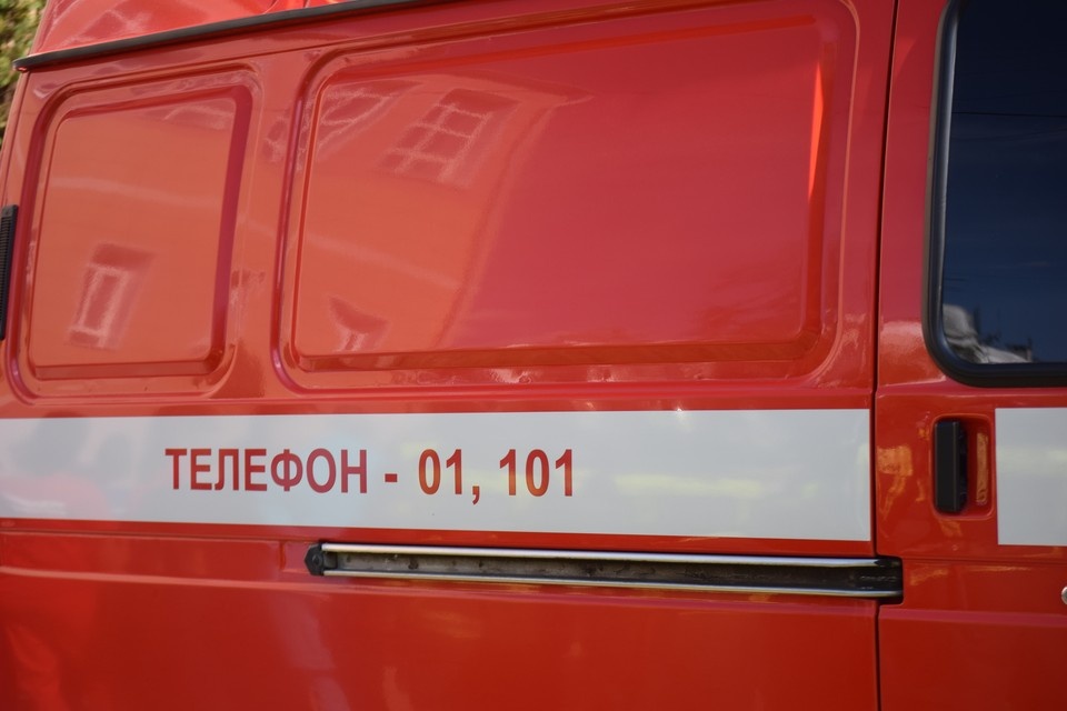    Фото: Елена Зябкина