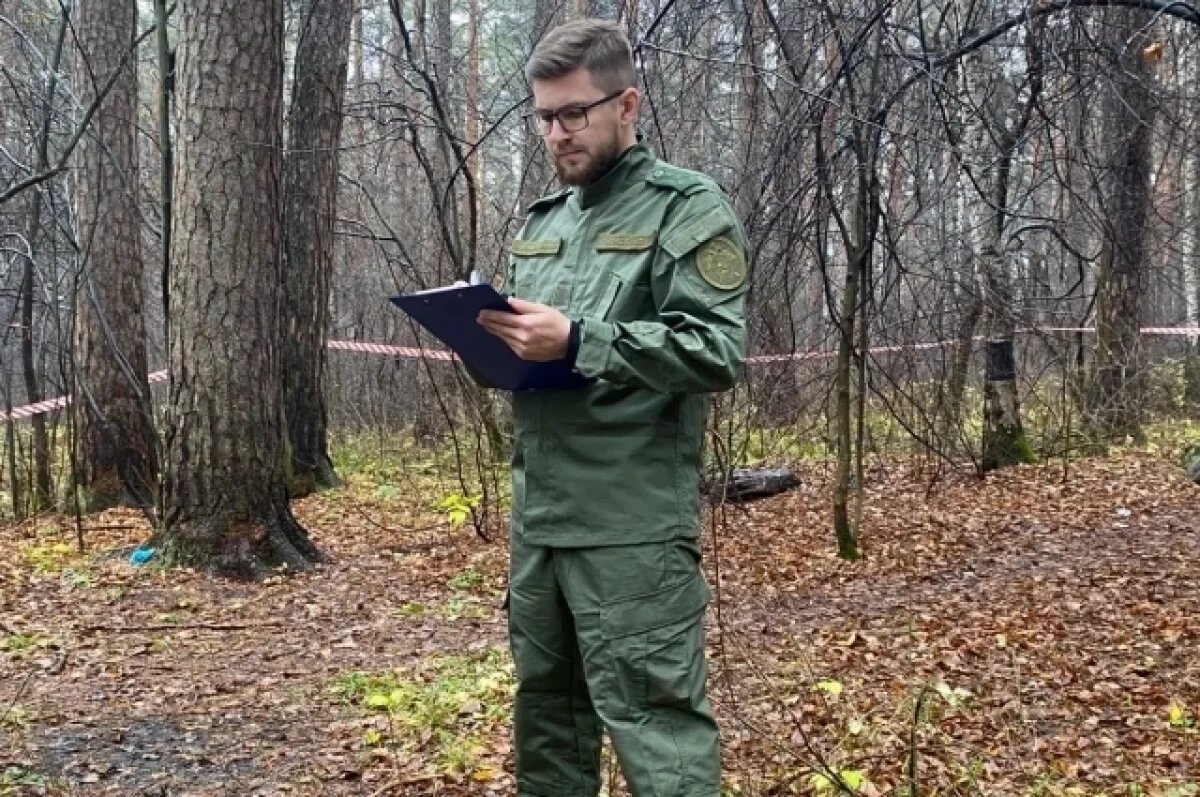    В Екатеринбурге нашли голову женщины, убитой в Юго-Западном парке