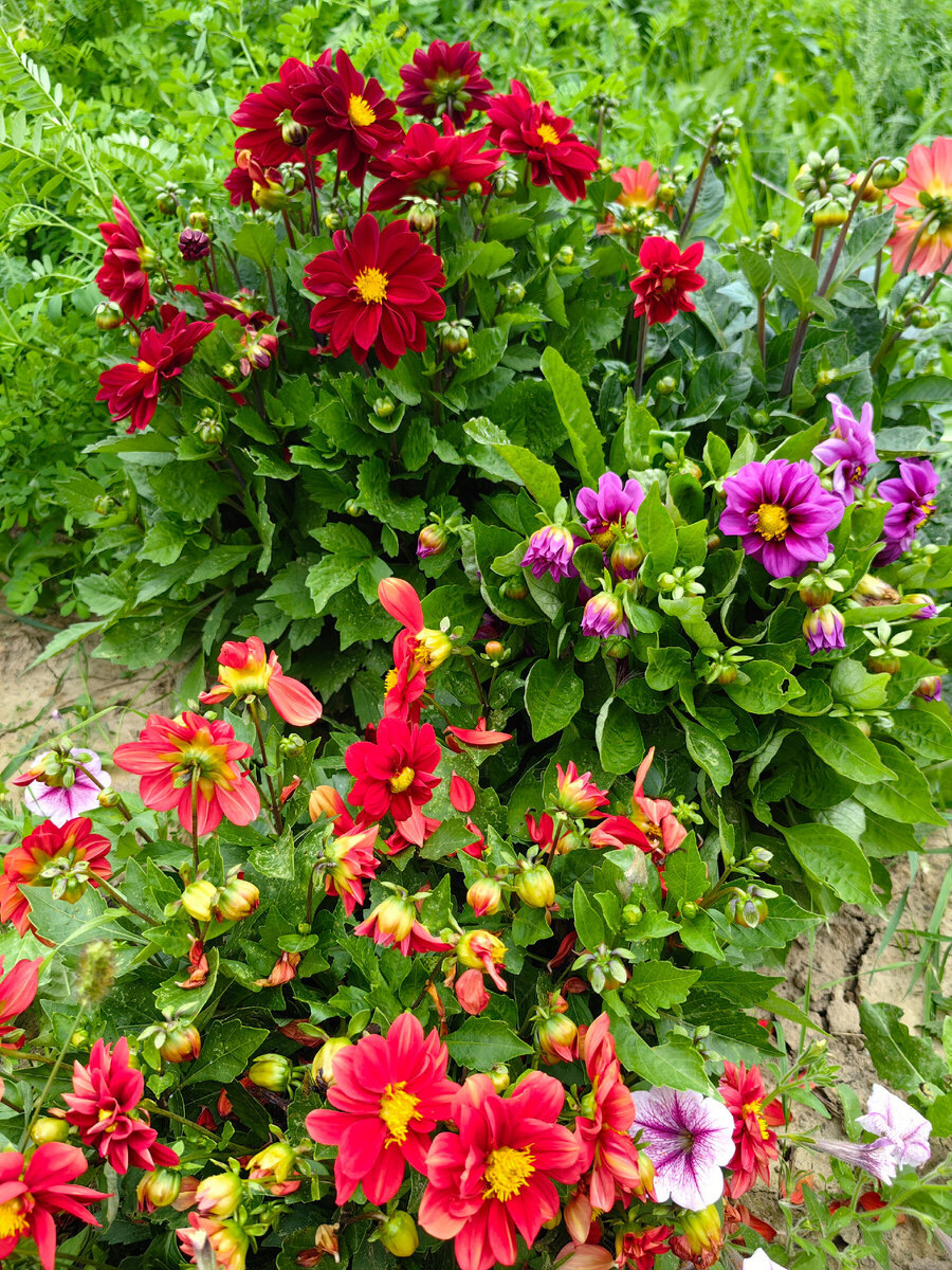 "Веселые ребята"