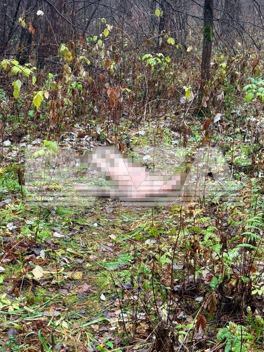 На полностью обнаженном теле убитой, которое обнаружили в лесопарке, из вещей было только кольцо. Фото: тг-канал Baza