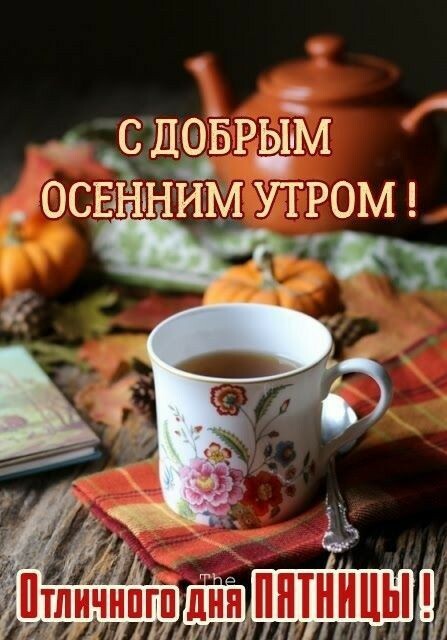 Фото из открытых источников.