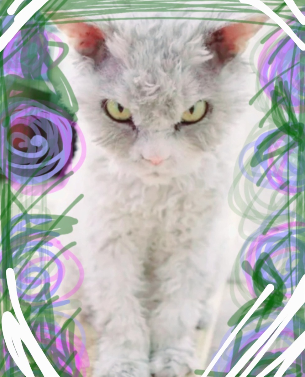 Фотоколлаж - собственность автора канала "ТАК НАДО".