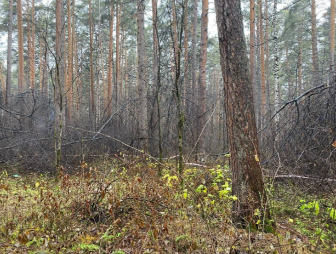    Место преступления. Фото: СК России по Свердловской области.