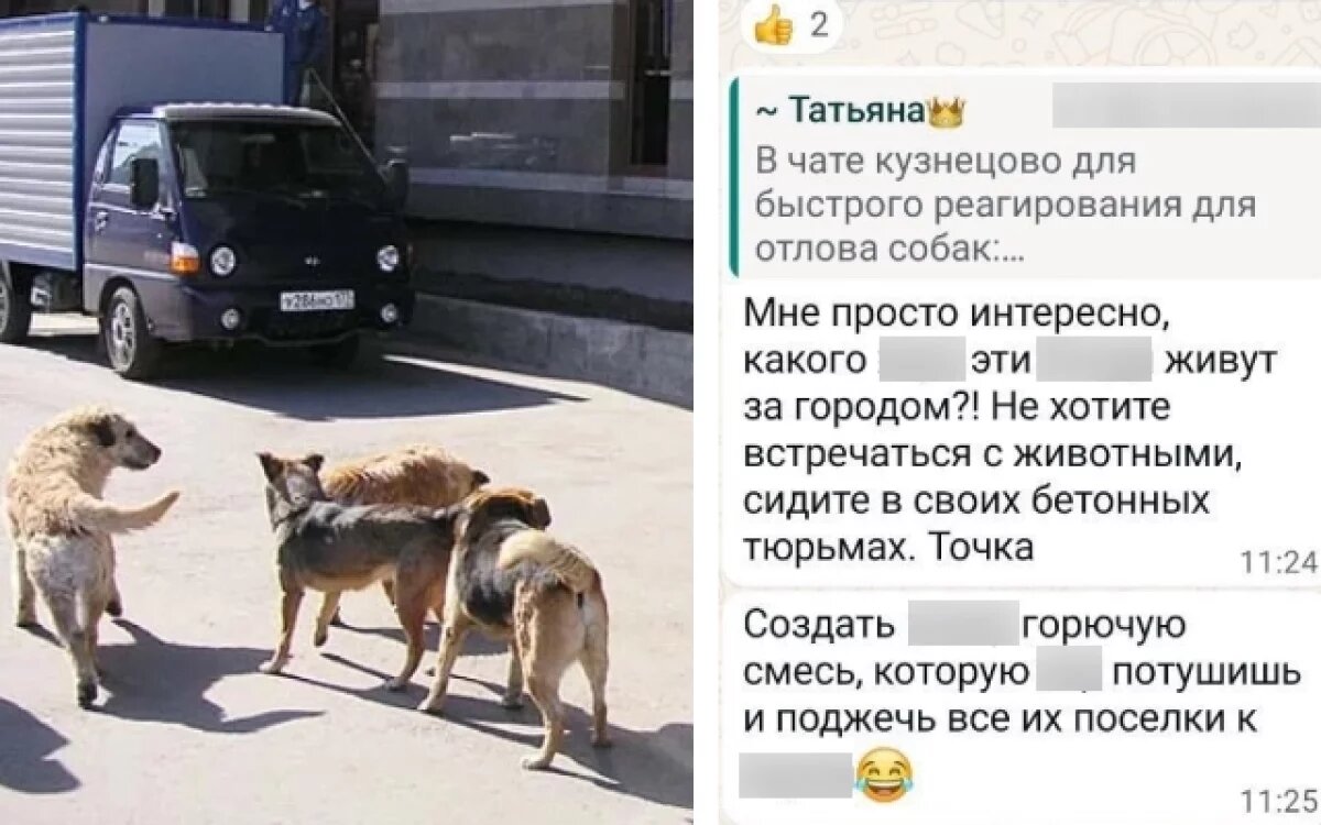    Высказывания зоозащитников о гибели мальчика в СНТ проверят на экстремизм