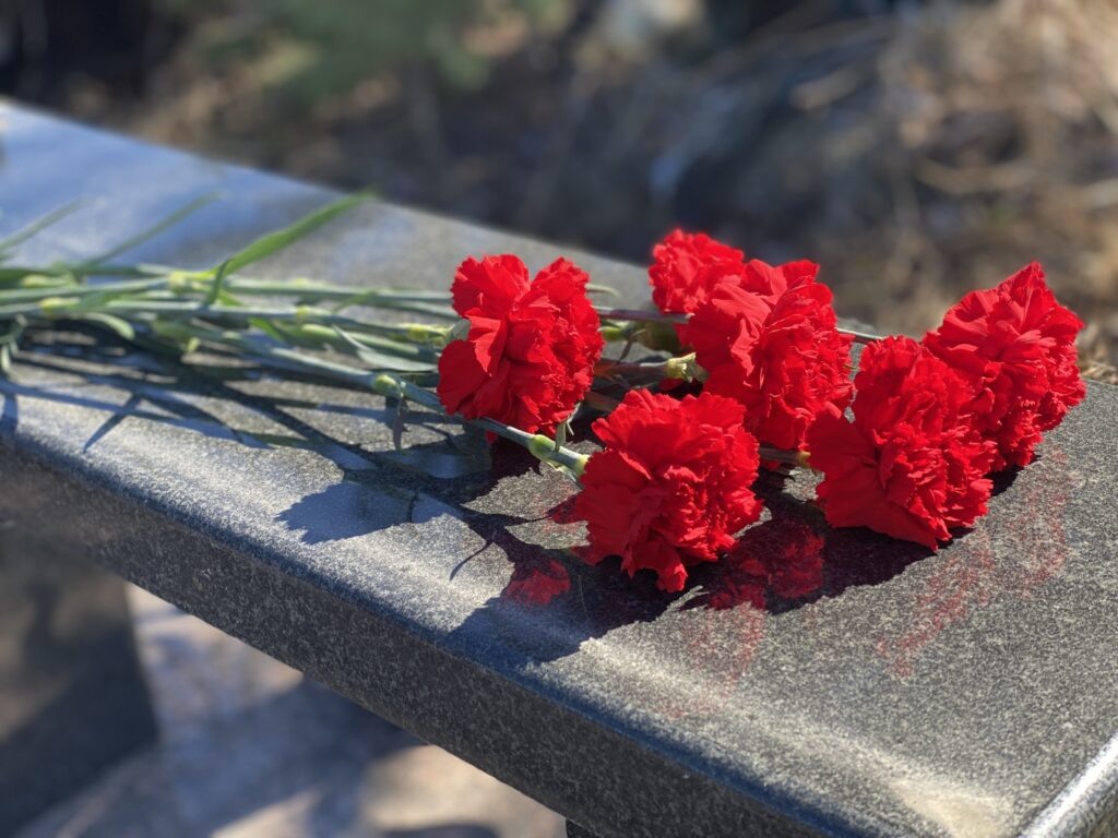    В курсе.ру Полина Анкушина