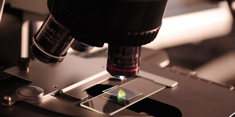 Косметика без жертв: как российские ученые спасают животных от испытаний