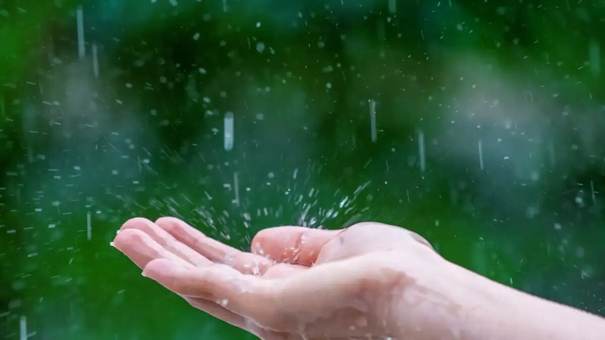    Дождь. © ru.freepik.com