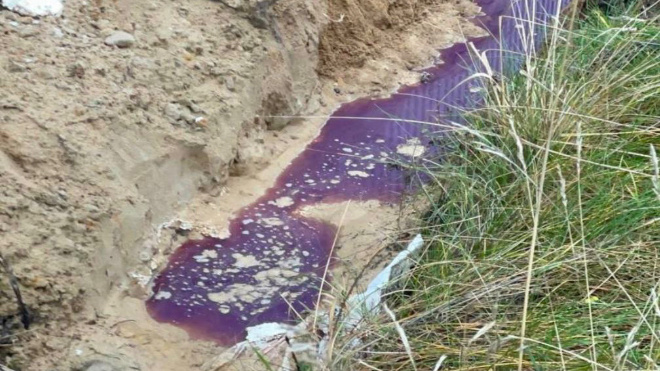 Фото: Разметелево чат/telegram