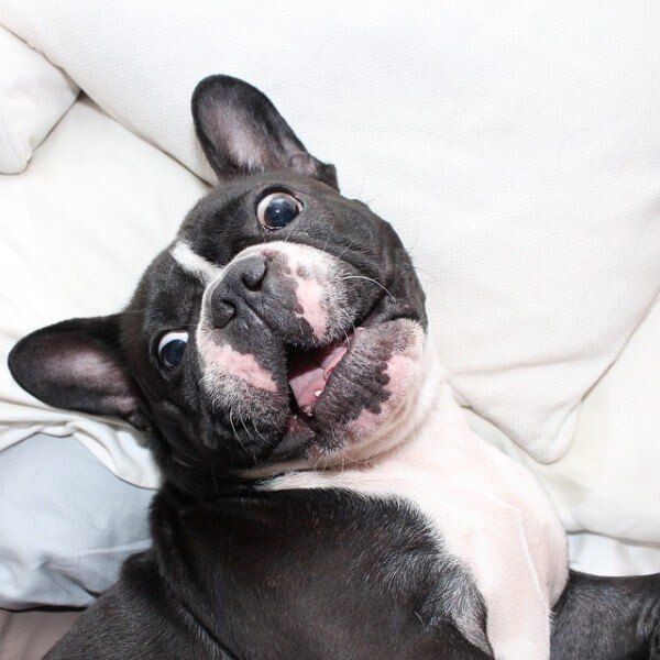 -Что ты такое говоришь?!