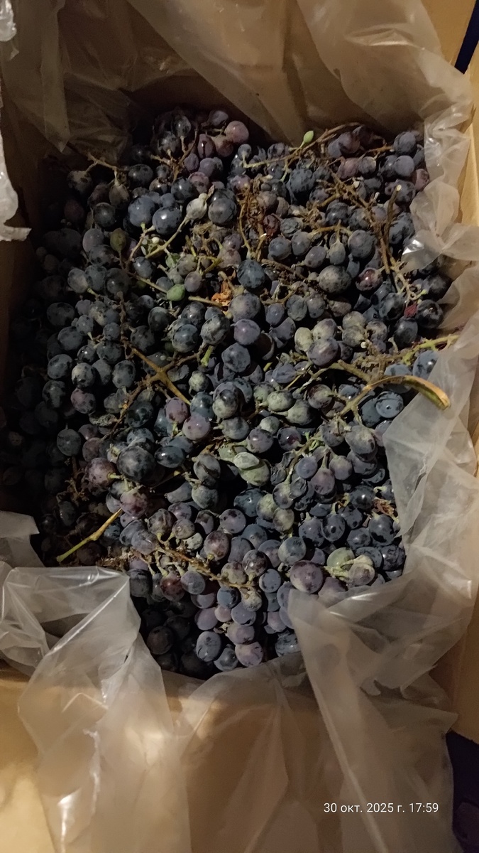 И вот опять тоже самое.