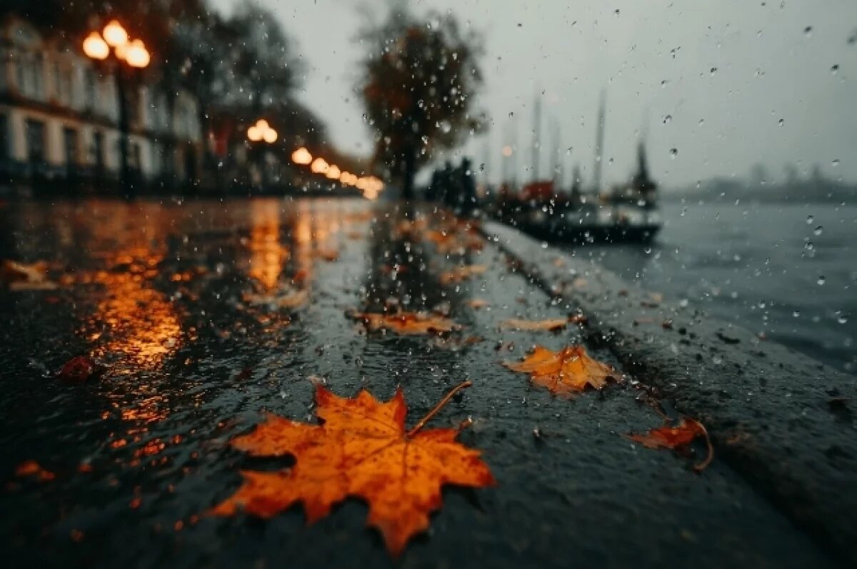    То дождь, то снег: синоптики обещают неустойчивую погоду на выходных