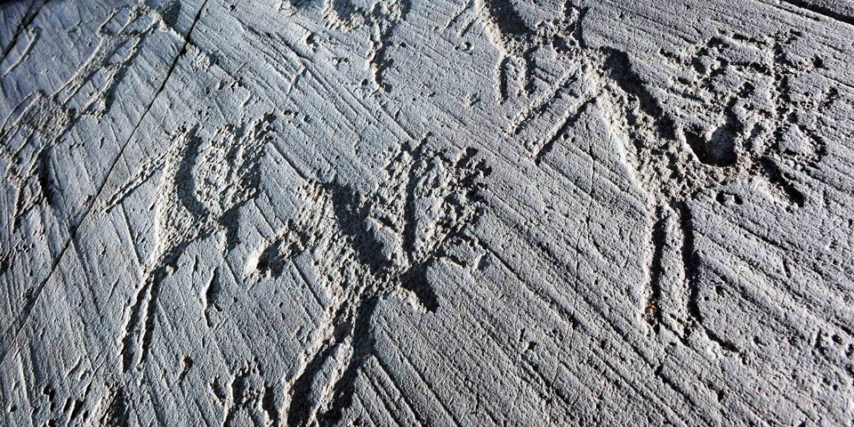 Валь Камоника: петроглифы с оленями и охотниками, археологический парк Капо ди Понте, Ломбардия, Италия, (источник: italy4.me)