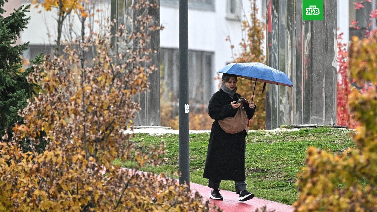    Фото: РИА Новости © 2025, Сергей Бобылев