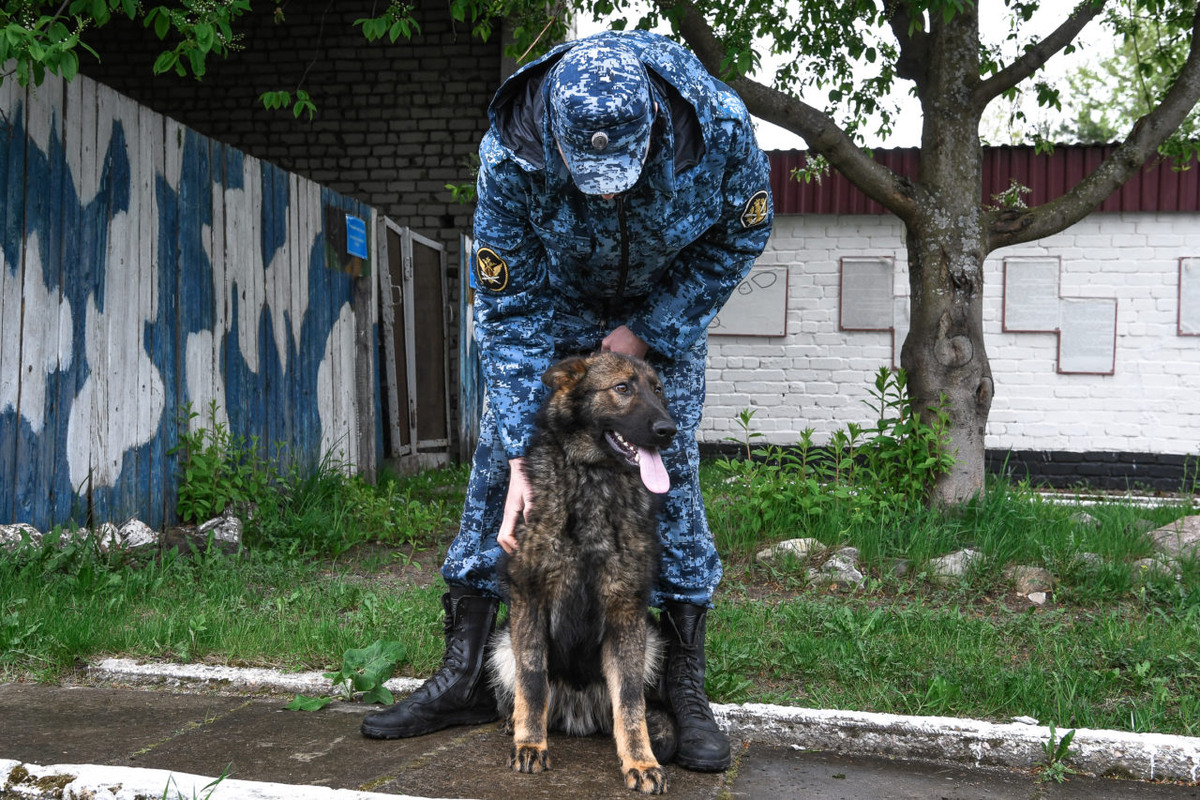    Щенок по кличке Лютый. Фото: "Республика"/Оксана Кудряшова
