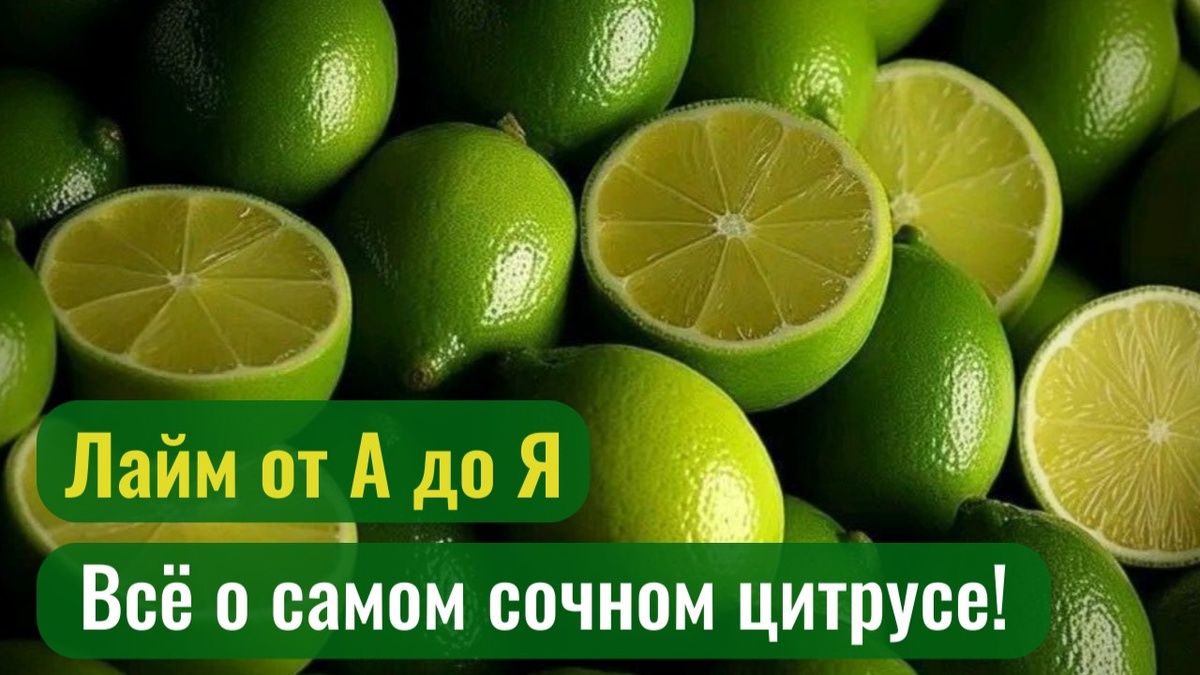 Фрукт лайм.