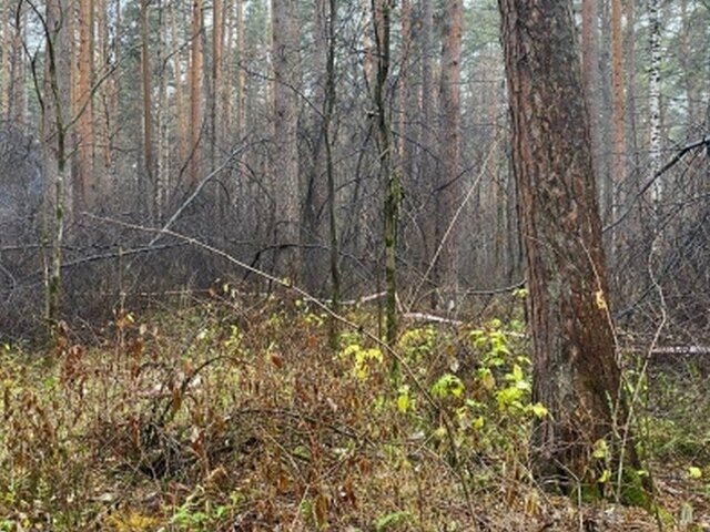    Фото: sverdlovsk.sledcom.ru