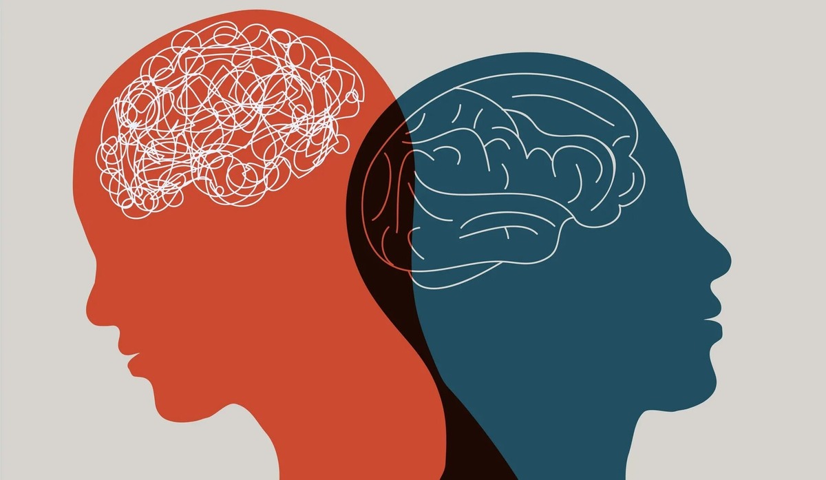 Картинка из интернета 